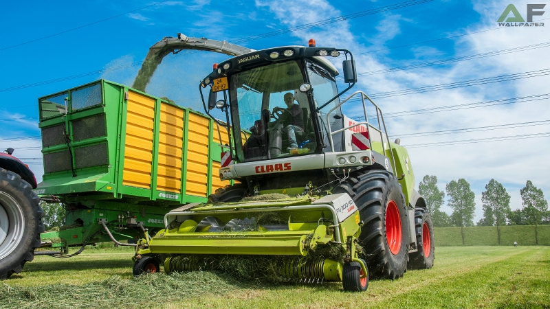 Wallpaper Claas Jaguar 950