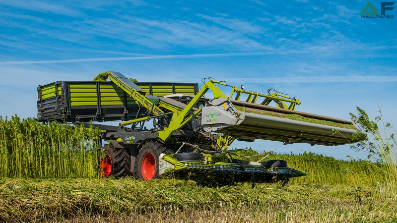 Wallpaper Claas Xerion 4000 Hemp Bull 2